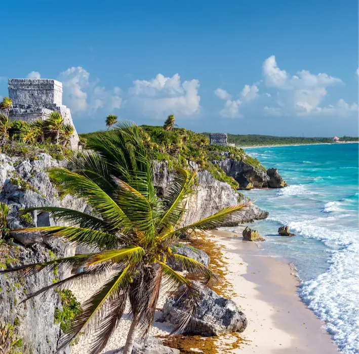 Paula Purroy Art Gallery Inspiration